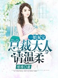 《一胎双宝：总裁大人，请温柔》封面